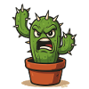 Angry cactus in pot