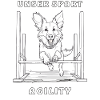 CHIEN NOTRE SPORT AGILITY