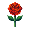 Rose | Geometric Rose Blossom Print / Design