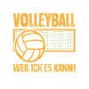 Volleyball Coach Gifts Volleyball Players