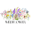 Fleur Prairie Aquarelle Design