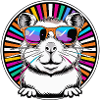Cool hamster with sunglasses
