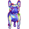 Farbenfroher Französischer Bulldog