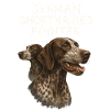 German Shorthaired Pointer