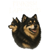 Finnischer Lapphund
