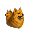 German top