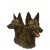 Hollandse Herdershond
