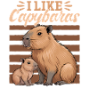 Funny aesthetic Kawaii Capybara