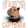 Funny aesthetic Kawaii Capybara