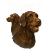 Poodle Pointer