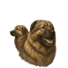 Caucasian Ovcharka