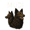 Mudi