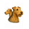 Lakeland Terrier