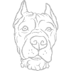 Cane Corso Head