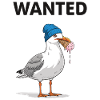 Gesucht Möwe Eiscreme Abenteuer