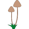 Minimalist Mushroom Botanical Illustration