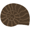 Elegant Ammonite Fossil Pattern Design