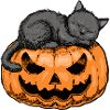 Schläfrige Katze Halloween-Design