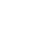 Octopus in Monochrome