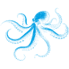 Octopus in Monochrome