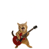 Festival live music sarcastic concert