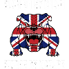 British Bulldog
