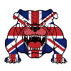 Bouledogue britannique