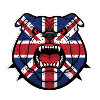 Bouledogue britannique