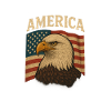 American Patriot Design