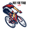 Road bike gravel gift