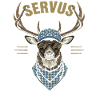 Alpen Hirsch Servus Hirschgeantler Tracht Oktober