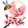Moon and Cherry Blossom