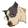 Stylish Dog with Gold Glasses