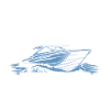 Mon bateau Mes règles