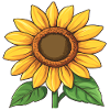 Sunflower Graphic
