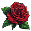 Rose red / Petals vector graphic