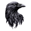 Raven, Crow, Bird, Raven Crow, Jackdaw, Black Raven