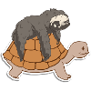 Adorable Turtle and Sloth