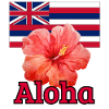 Hawaiian flag tropical hibiscus