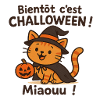 Magical and Fun Halloween Kitten