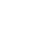 Tribal White Lizard