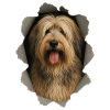 Catalan Sheepdog