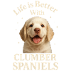 Clumber Spaniel