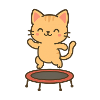 Happy kitten on trampoline