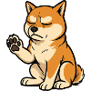 Shiba Inu Shiba owner Shiba lover Shiba inus