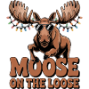 Moose on the Loose