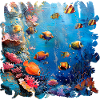 Lebendiges Korallenriff Unterwasserwelt