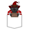 Noël chat