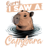 Funny aesthetic Kawaii Capybara
