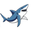 Shark